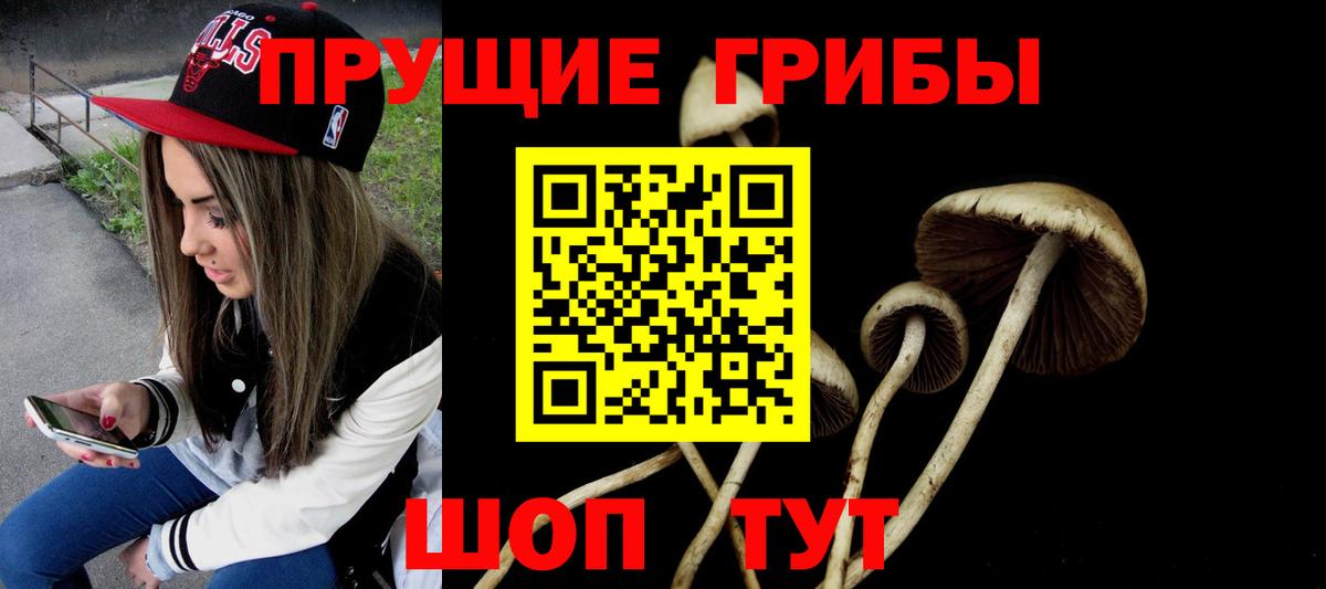 как найти закладки  Псилоцибиновые грибы ЛСД  Вход с VPN  Томск 
